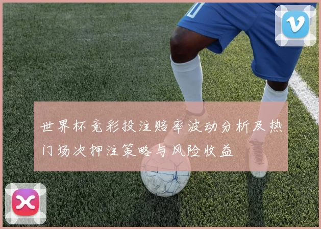 世界杯竞彩投注赔率波动分析及热门场次押注策略与风险收益