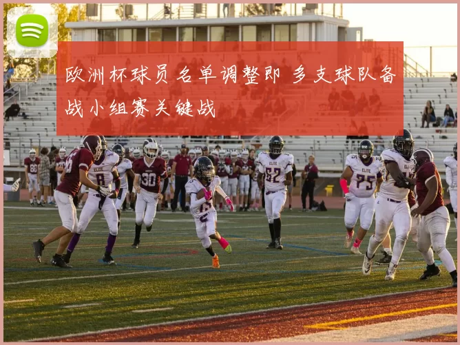 欧洲杯球员名单调整即 多支球队备战小组赛关键战