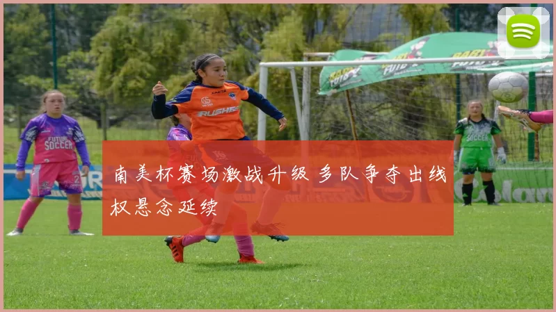 南美杯赛场激战升级 多队争夺出线权悬念延续