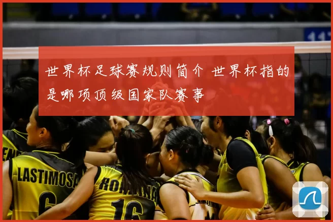 世界杯足球赛规则简介 世界杯指的是哪项顶级国家队赛事