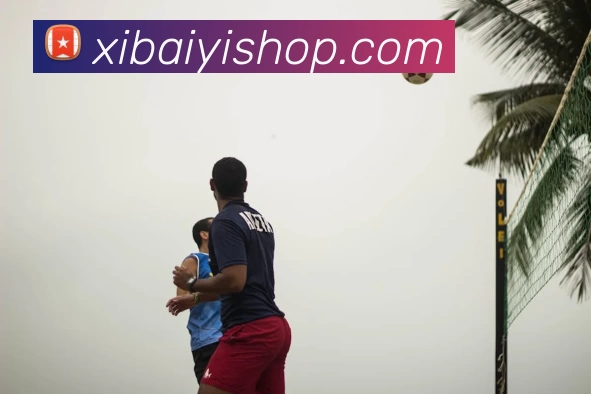 App Interface Preview