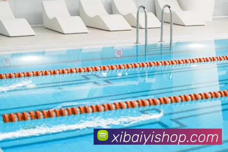 Bsports官方网站登录入口APP 封面图